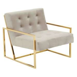 Azaltro Velvet Lounge Chair With Gold Steel Frame In Mink - UK