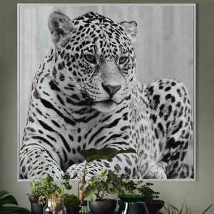 Cursa Cheetah Black And White Picture Glass Wall Art - UK