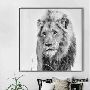 Cursa Golden Lion Black And White Picture Glass Wall Art - UK