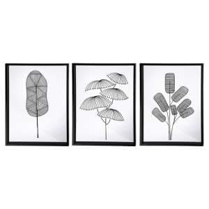 Plants Picture Set Of 3 Glass Wall Art In Black And White - UK