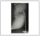 lighting, floor lamps curved, contemporary table lamps