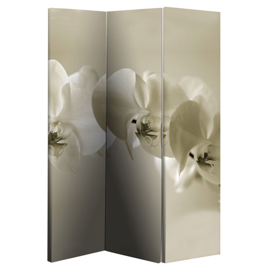 Customer Name Mukhy Khursheed, Furniture In Fashion Sepia Room Divider