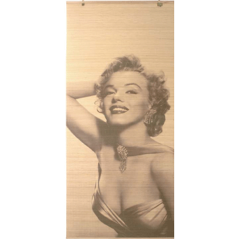 Marilyn Room Partition