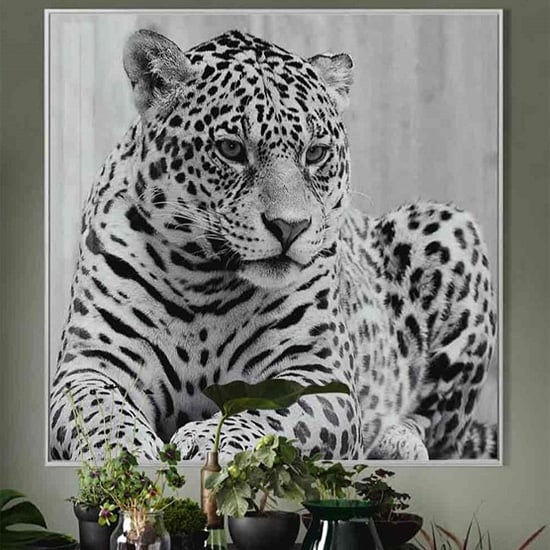 Product photograph of Cursa Cheetah Black And White Picture Glass Wall Art from Furniture in Fashion