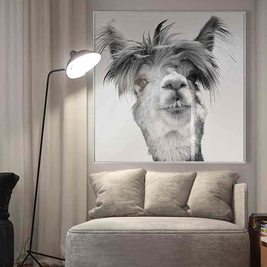Product photograph of Cursa Llama Picture Glass Wall Art from Furniture in Fashion