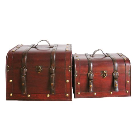 Set of 2 Dark Wood Storage Trunks, 241568L