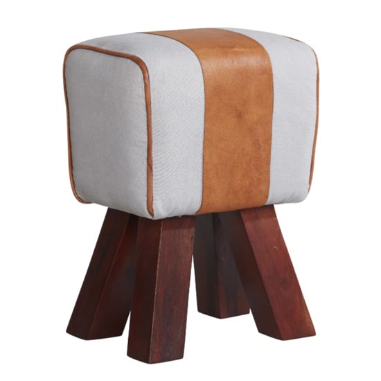 Product photograph of Phaet Faux Leather Canvas Stool In White And Brown from Furniture in Fashion