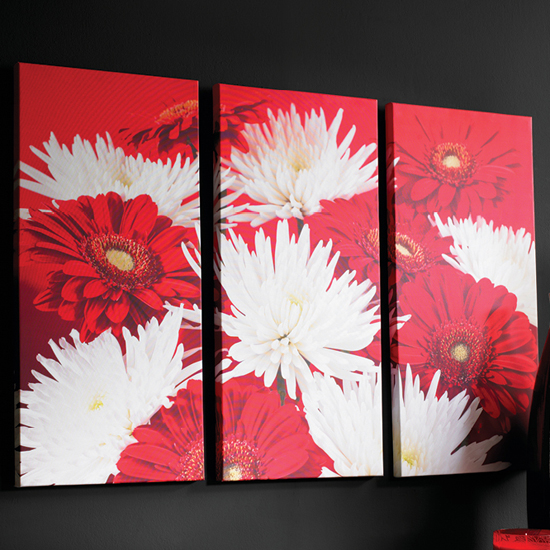 3 Piece Painted Poppies Wall Art 6888 Furniture IN Fashion U