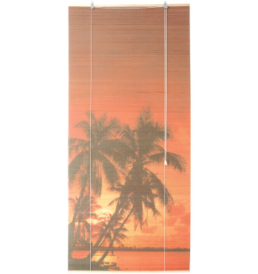Sunshine Partition - 30972