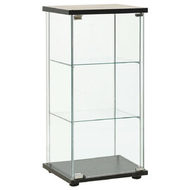 Absecon Black Shoe Storage Cabinet With Tempered Glass Frame