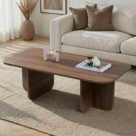 Aerin Wooden Rectangular Coffee Table in Walnut