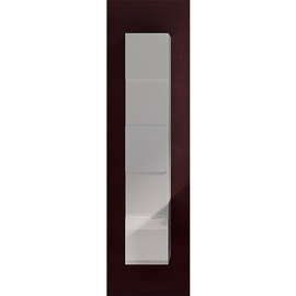 Aleta High Gloss Bathroom Storage Cabinet And 1 Door In White