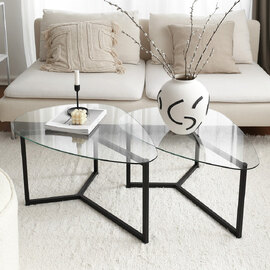 Belira Tempered Glass Nesting Coffee Table With Matte Black Metal Frame