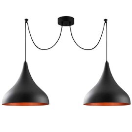 Berceste 2 Lights Metal Ceiling Pendant Light in Black