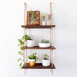 Bicdale Spruce Wood Wall Shelf with 3 Shelves in Walnut
