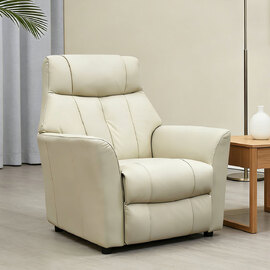 Bionel Leather 1 Seater Sofa in Mushroom