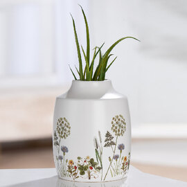 Camarillo Ceramic Set OF 2 Flower Vases In White