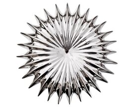 Wall Mounted Spikey Shell