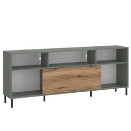 Danville Wooden TV Stand With 1 Sliding Door In Green Oak
