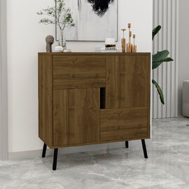Darien Wooden Storage Cabinet with 2 Doors in Walnut and Black