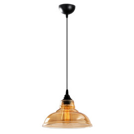 Dilberay Metal Ceiling Pendant Light in Black