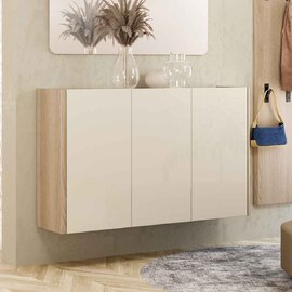 Dorian High Gloss Wall Mounted Shoe Storage Cabinet in Tortora Lacquered and Light Oak
