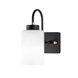 Duzsuz Metal Wall Light in White and Black