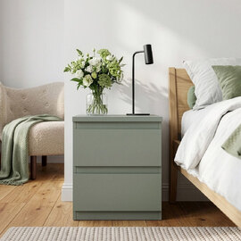 Eronis Wooden Bedside Cabinet with 2 Drawers in Sage Green