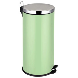 Fairport Stainless Steel 30 Litre Miller Pale Green Bin In Green