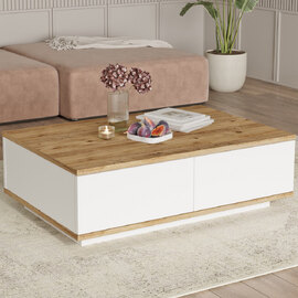 Felyn Wooden Coffee Table with 2 Flap Doors in Atlantic Pine and White