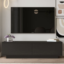 Filaroa Wooden TV Stand with 2 Flap Doors in Black