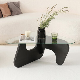Fileno Tempered Glass Top Coffee Table with Anthracite Solid Wood Frame