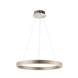 Gen Wall Hung Pendant Light In Matt Nickel