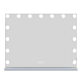 Holmdel Large Dressing Mirror With LED Lighting In Clear
