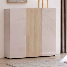 Inverness High Gloss Shoe Cabinet With 3 Doors In Cashmere