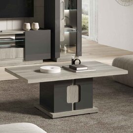 Avora High Gloss Coffee Table in Dark Grey Pine and LED
