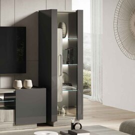 Avora High Gloss Display Cabinet with 1 Door in Dark Grey Pine and LED