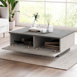 Marina Wooden Coffee Table with Flap Door in Silver and Anthracite