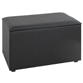 Massillon Large Fabric Storage Ottoman In Black