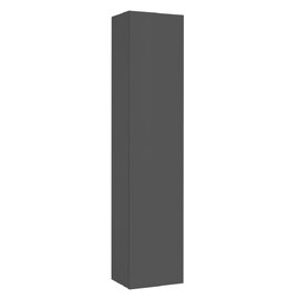 Mcrae Wooden Storage Cabinet With 1 Door In Anthracite