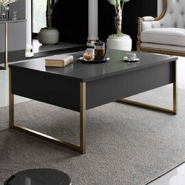 Nordic Wooden Coffee Table with Gold Metal Frame in Anthracite