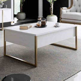 Nordic Wooden Coffee Table with Gold Metal Frame in White