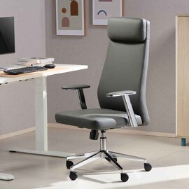 Odenton Faux Leather High-backed Executive Home And Office Chair - Grey