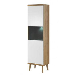 Pasco Wooden Display Cabinet With 1 Door In Matt White And Oak