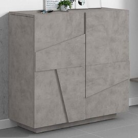 Pembroke Wooden Shoe Storage Cabinet With 2 Doors In Bronx Concrete