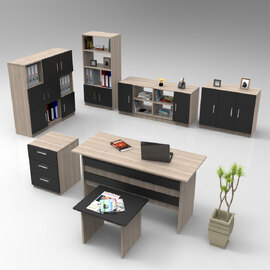 Prescott Wooden Executive Office Furniture Set with 13 Door Storage Unit in Oak and Black
