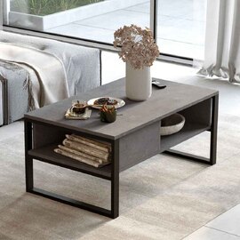 Raleo Wooden Coffee Table with Metal Frame in Silver
