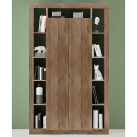 Raya Wooden Bookcase With 2 Doors In Mercure