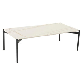 Rockton White Ceramic Rectangular Coffee Table With Metal Legs