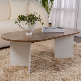 Savelio Oval Wooden Coffee Table in Walnut and White